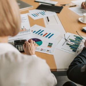 Consulting WordPress